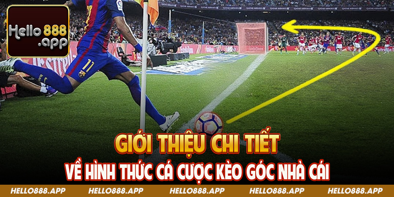 Giới thiệu chi tiết về hình thức cá cược kèo góc nhà cái